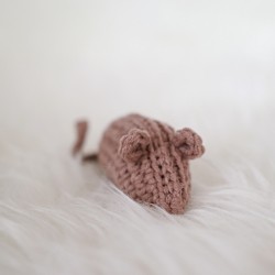 Meow Mouse