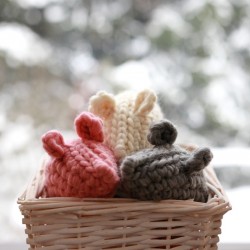 Woolly Meow Mouse