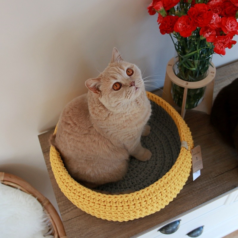Double Cat Bed - M plus